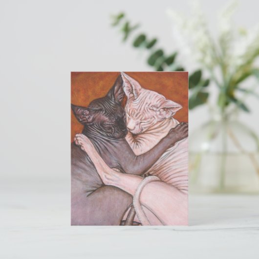 Sphynx Sphinx Cat Cats Nap Time Briefkaart (Staand voorkant)
