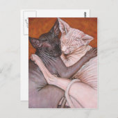 Sphynx Sphinx Cat Cats Nap Time Briefkaart (Voorkant / Achterkant)
