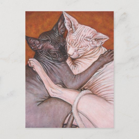 Sphynx Sphinx Cat Cats Nap Time Briefkaart (Voorkant)