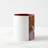 Sphynx Sphinx Cat Cats Nap Time Mok (Center)