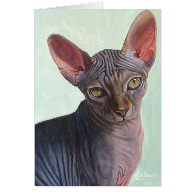 Sphynx Sphinx Cat Cats Sunitha (Voorkant)