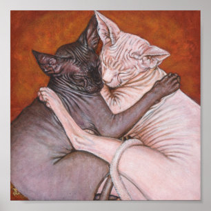 Sphynx Sphinx Cat Painting Art Poster