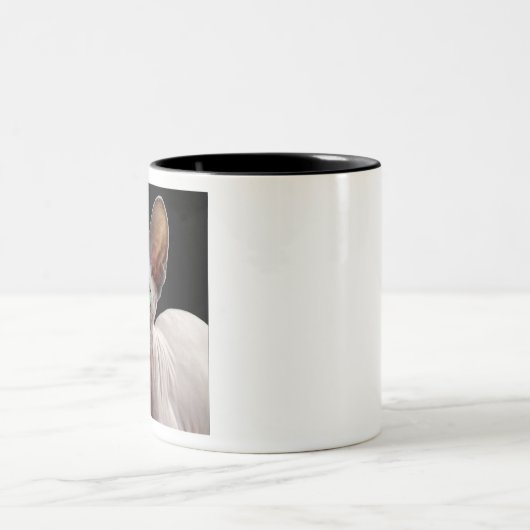 Sphynx Tweekleurige Koffiemok (Center)