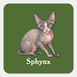 Sphynx Vierkante Sticker