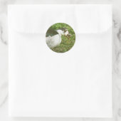 Spice eet een eikel ronde sticker (Tas)