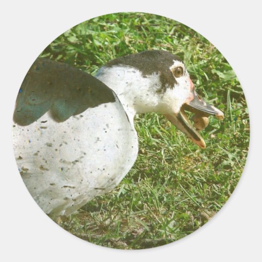 Spice eet een eikel ronde sticker (Voorkant)