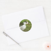 Spice eet een eikel ronde sticker (Envelop)