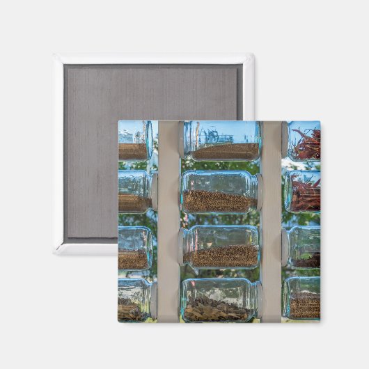 Spice jars fridge magnet (Voorkant / Achterkant)