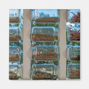 Spice jars fridge magnet