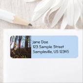 Spicebush Flowers in het voorjaar Etiket (Insitu)