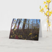 Spicebush Flowers in het voorjaar Kaart (Gele Bloem)