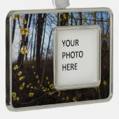 Spicebush Flowers in het voorjaar Verzilverd Omlijst Ornament (Rechts)