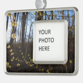 Spicebush Flowers in het voorjaar Verzilverd Omlijst Ornament (Links)