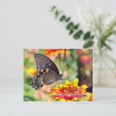 Spicebush Swallowtail Briefkaart (Staand voorkant)