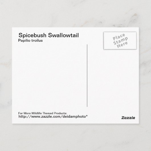 Spicebush Swallowtail Briefkaart (Achterkant)
