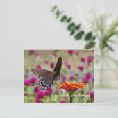 Spicebush Swallowtail Briefkaart (Staand voorkant)