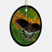 Spicebush Swallowtail Butterfly Keramisch Ornament (Rechts)