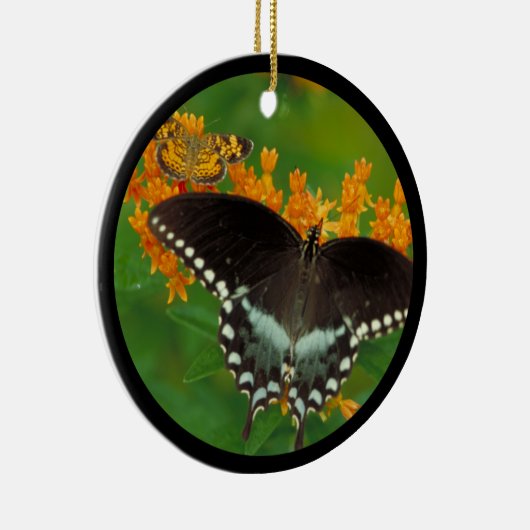 Spicebush Swallowtail Butterfly Keramisch Ornament (Rechts)