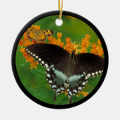 Spicebush Swallowtail Butterfly Keramisch Ornament (Voorkant)