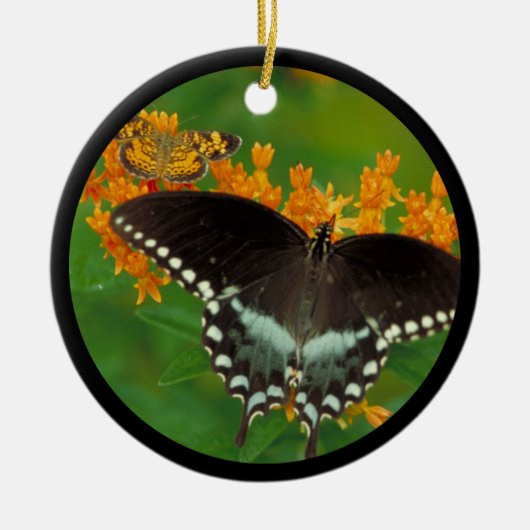 Spicebush Swallowtail Butterfly Keramisch Ornament (Voorkant)