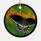 Spicebush Swallowtail Butterfly Keramisch Ornament (Achterkant)