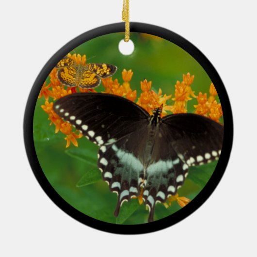 Spicebush Swallowtail Butterfly Keramisch Ornament (Achterkant)