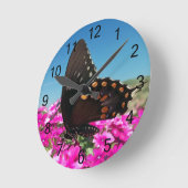 Spicebush Swallowtail Butterfly Ronde Klok (Hoek)