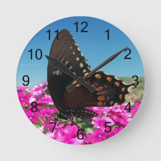 Spicebush Swallowtail Butterfly Ronde Klok