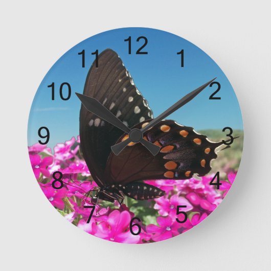 Spicebush Swallowtail Butterfly Ronde Klok (Voorkant)