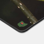 Spicebush Swallowtail Caterpillar Bureaumat (Hoek)