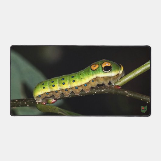 Spicebush Swallowtail Caterpillar Bureaumat (Voorkant)