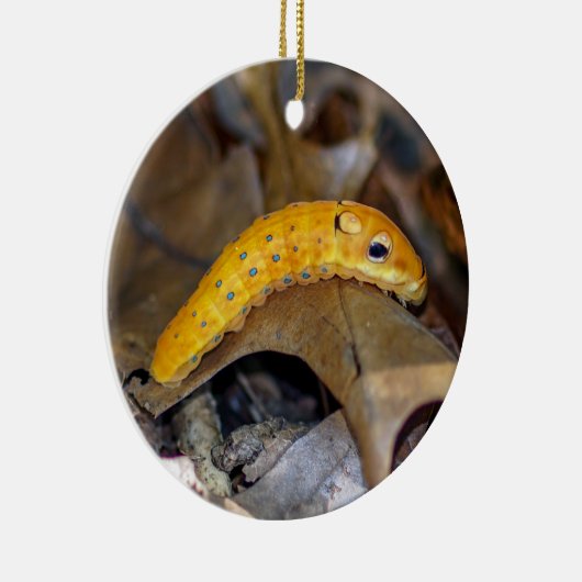 Spicebush Swallowtail Caterstyle Ornament (Rechts)
