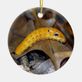 Spicebush Swallowtail Caterstyle Ornament (Voorkant)