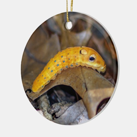 Spicebush Swallowtail Caterstyle Ornament (Links)