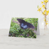 Spicebush Swallowtail Kaart (Gele Bloem)