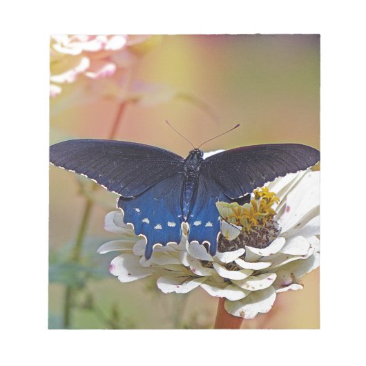 Spicebush Swallowtail Notitieblok (Voorkant)