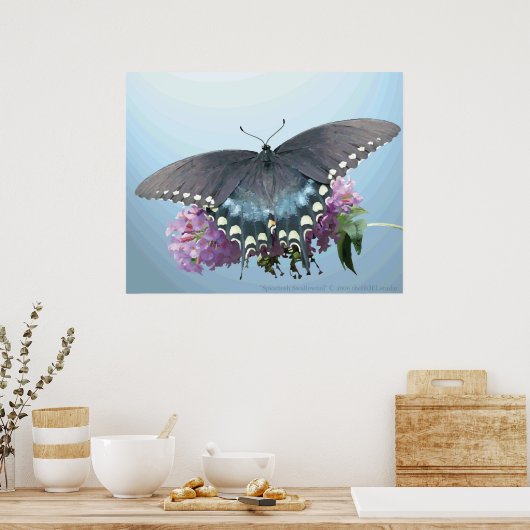 Spicebush Swallowtail Photo Poster (Keuken)