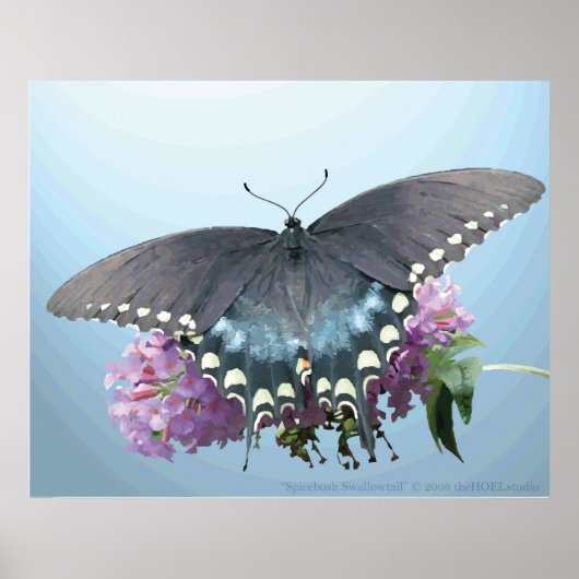 Spicebush Swallowtail Photo Poster (Voorkant)