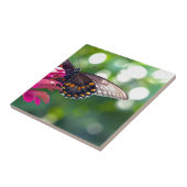 Spicebush Swallowtail Tegeltje (Zijkant)