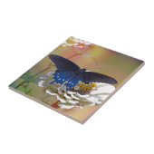 Spicebush Swallowtail Tegeltje (Zijkant)