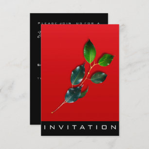 Spices Italiaanse Chef Dinner House Red Wine Green Kaart