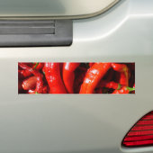 Spicy! Bumpersticker (Op auto)