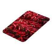Spicy Red Chili In The Town of Kalocsa Magneet (Linkerzijde)