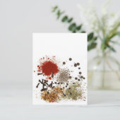 Spicy spices foodie top chef foto briefkaart (Staand voorkant)
