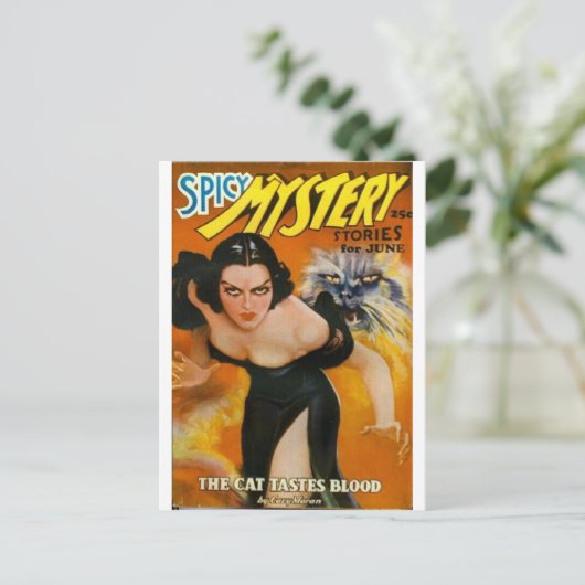 spicymysterie briefkaart (Staand voorkant)