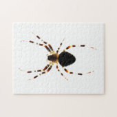 Spider 11x14 252pc jpcnm legpuzzel (Horizontaal)