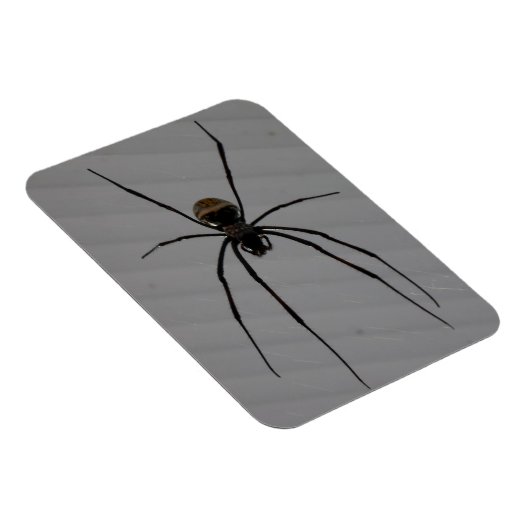 Spider 3"x4" Magnet Magneet (Rechterzijde)