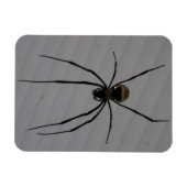 Spider 3"x4" Magnet Magneet (Horizontaal)