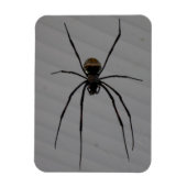 Spider 3"x4" Magnet Magneet (Verticaal)