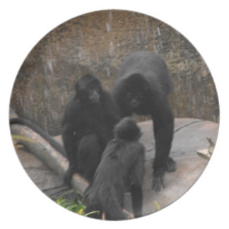 Spider-aap-binnenste binnenste wasbeurt bord